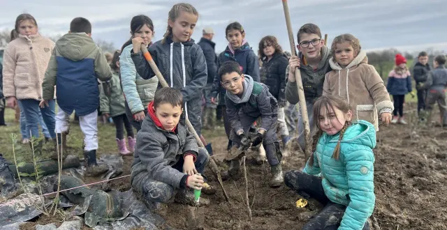 photo  les enfants de l’école des tilleuls ont planté 220 arbres sur l’exploitation de sylvère dubois. bien conscients de l’importance de leur action.  &copy;  le maine libre 