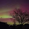 photo  des aurores boréales ont coloré le ciel de maine-et-loire dans la nuit du lundi 19 au mardi 20 janvier 2026, comme ici à chanzeaux (chemillé-en-anjou). 