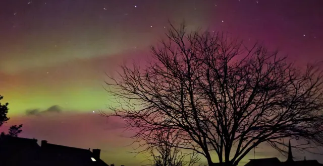 photo  des aurores boréales ont coloré le ciel de maine-et-loire dans la nuit du lundi 19 au mardi 20 janvier 2026, comme ici à chanzeaux (chemillé-en-anjou).  &copy;  daniel batardière 