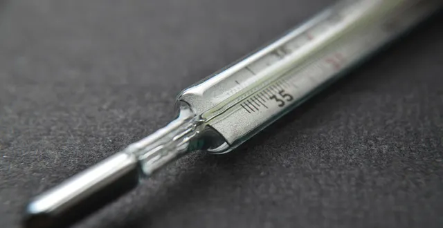 photo  le thermomètre a explosé dans le four.  &copy;  pixabay 