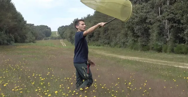 photo  des naturalistes ont recensé les papillons au camp d’auvours.  &copy;  andré marseul 