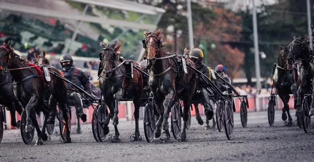 photo  inmarosa, entraînée à bouloire par laurent claude abrivard, avait surpris ses adversaires lors du prix du bourbonnais en décembre 2025.  &copy;  alex zona - trotteur français 