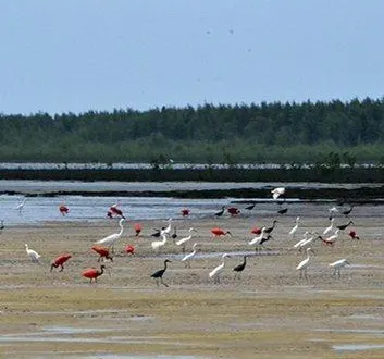 photo  la vase est source de vie.  &copy;  luc riolon 