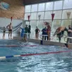 photo  la journée de compétition interne a rassemblé le 11 janvier tous les nageurs du rcd natation dans le bassin de doué-la-fontaine. 