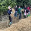 photo après les explications, place à l’application : la plantation, l’arrosage puis le paillage des jeunes plants.