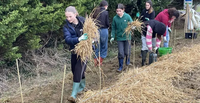 photo  après les explications, place à l’application : la plantation, l’arrosage puis le paillage des jeunes plants.  &copy;  ouest-france 