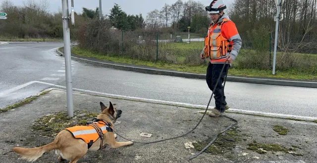 photo  la chienne taïky signale la présence de chlore. grâce à elle, veolia a la confirmation qu’une fuite est imminente ou déjà en cours dans le réseau d’eau potable.  &copy;  ouest-france 