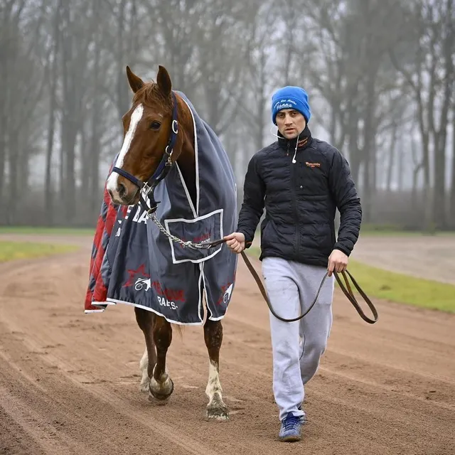 photo alexandre abrivard et just love you, deuxièmes du prix d’amérique l’an passé.  ©  archives vincent michel / ouest-france
