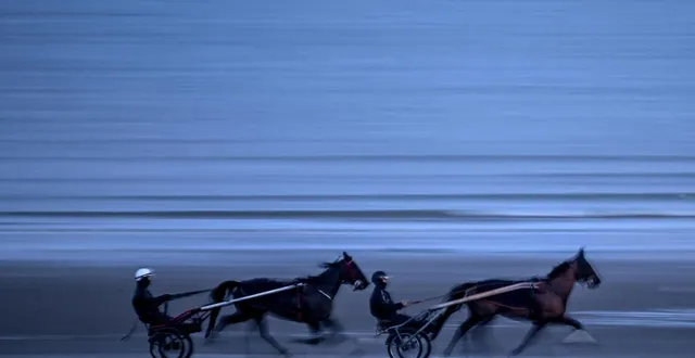 photo  dans le calvados, marion lemonnier aime entraîner ses chevaux sur la plage de merville-franceville jusqu’à cabourg.  &copy;  martin roche / ouest-france 