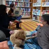 photo  guillaume lit un livre pour sa maman et pour cindy mildange mais surtout pour nelson, le labrador bibliophile de l’association de médiation animale totem. 