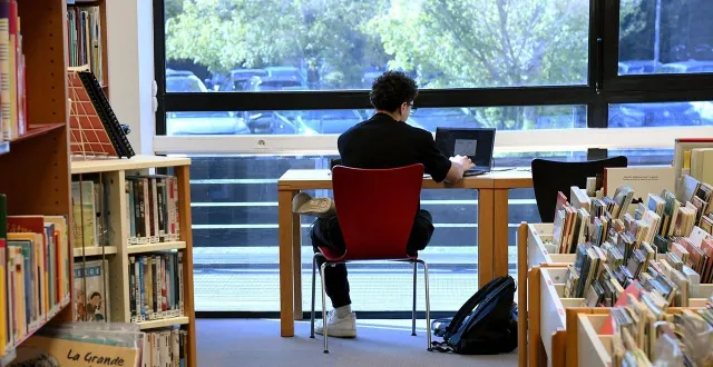 photo  « seule, elle n’est ni décisive, ni accessoire. elle peut être éliminatoire comme faire gagner des places au classement », reconnaissent trois professeurs et chefs de département au sein de l’iut poitiers-niort-châtellerault dans la capitale des deux-sèvres, en évoquant l’importance de la lettre de motivation sur parcoursup.  &copy;  co - illustration benoit felace 