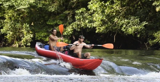 photo  françois deletraz, originaire de caen et docteur en pharmacie, publie un guide pratique d’initiation à la biodiversité de la forêt amazonienne après un voyage de cinq ans en guyane.  &copy;  françois deletraz 