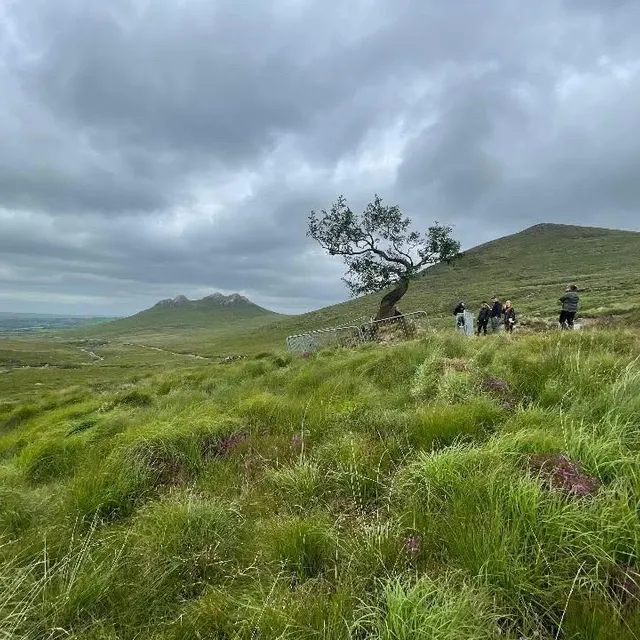 photo la mise en place du faux arbre avant le tournage de « a knight of the seven kingdoms ».  ©  naomi liston