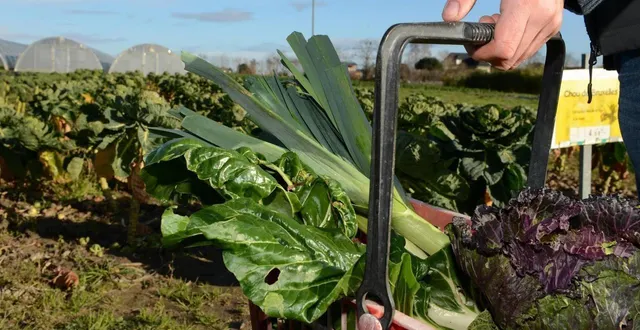 photo  des professionnels de l’alimentation seront présents à parthenay.  &copy;  illustration co. 