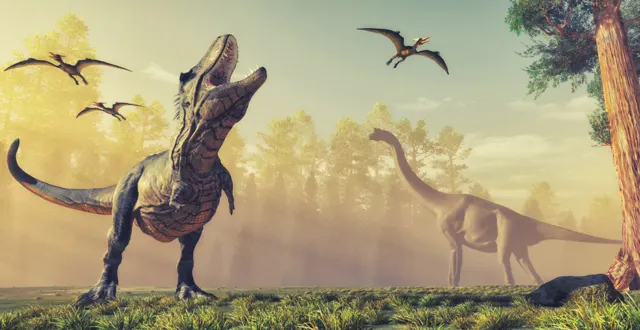 photo info quiz. Saurez-vous reconnaître ces dinosaures ?