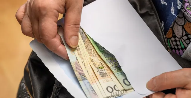 photo  l’ancienne propriétaire avait dissimulé des billets dans le sac.  &copy;  photo d’illustration : pawel kacperek / getty images 