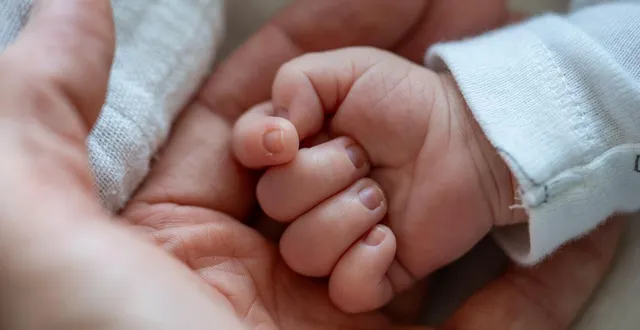 photo  plus de la moitié des pères ont pris l’intégralité de leur congé paternité en 2022 (photo d’illustration).  &copy;  le maine libre - xavier sarrat 