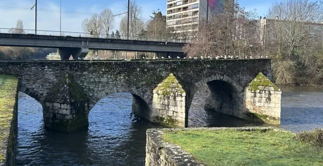 photo  la noyade a eu lieu à hauteur du pont des vendéens.  &copy;  le maine libre 