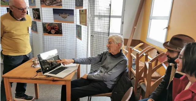 photo  andré marseul, photographe de l’infiniment petit, a montré ses clichés d’insectes au public.  &copy;  le maine libre 