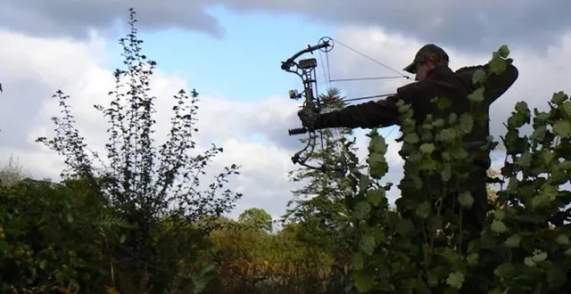 photo  face à la prolifération des sangliers, la ville de la flèche (sarthe) organise une battue administrative à l’arc. une quinzaine d’archers sont attendus ce dimanche 1er février pour chasser sur le territoire de la commune.  &copy;  archives ouest-france 