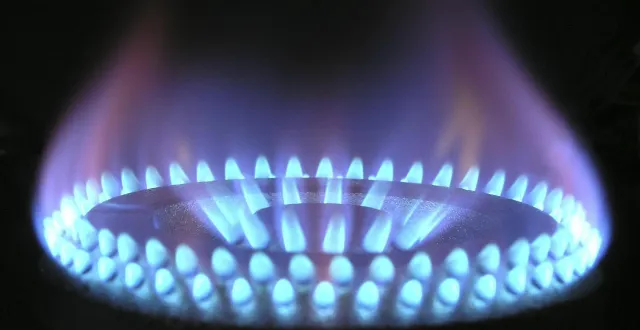 photo  edf réclame près de 40 000 € de consommation de gaz à une retraitée installée dans une petite maison à loudun (vienne). photo d’illustration.  &copy;  magnascan / pixabay 
