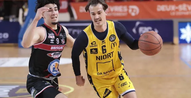 photo  pierre cellerier compte bien mener les niortais vers une troisième victoire consécutive ce samedi devant adour-dax.  &copy;  co - benoit felace 