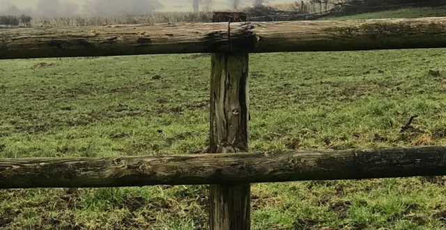 photo  une déclaration préalable est installée pour l’édification des clôtures dans l’intercommunalité.  &copy;  ouest-france 