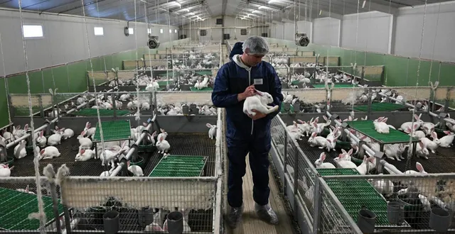 photo  la chapelle-rousselin (chemillé-en-anjou), mercredi 28 janvier. guillaume godard : « nous étions quasiment les premiers en france à investir dans de telles installations. »  &copy;  co - laurent combet 