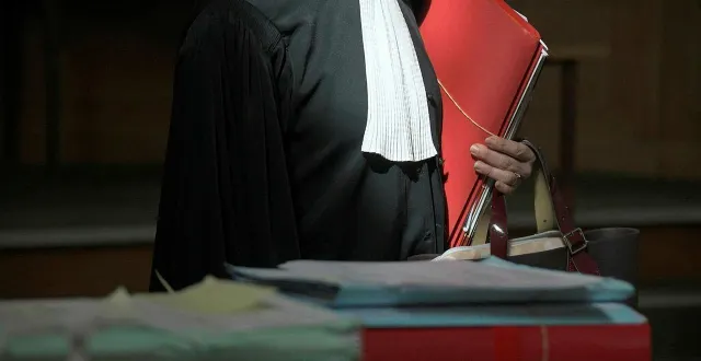 photo  l’affaire a été jugée à niort jeudi 29 janvier dans le cadre de l’audience collégiale du tribunal correctionnel.  &copy;  llustration co - marie delage 