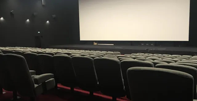 photo  le grand palace accueille la projection en avant-première du film d’animation : « les légendaires ».  &copy;  ouest-france 