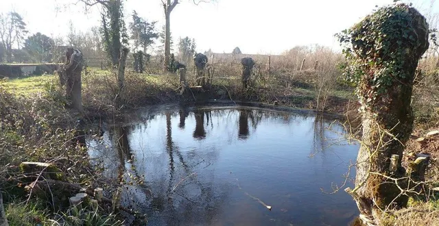 photo  un bel exemple de mare réhabilitée, véritable havre de biodiversité, moyen de lutte contre le ruissellement.  &copy;  co 