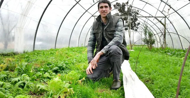 photo  romain deau effectue sa neuvième saison de maraîchage agroécologique à saint-pompain.  &copy;  co - marie delage 
