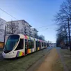 photo à angers, les lignes du tramway sont très souvent recouvertes de gazon.