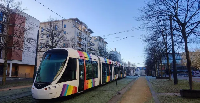 photo  à angers, les lignes du tramway sont très souvent recouvertes de gazon.  &copy;  ouest-france 