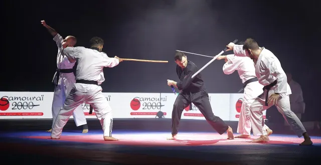 photo  des reconstitutions de combats mythiques, notamment de bruce lee, ont tenu en haleine près de 3 000 spectateurs.  &copy;  ouest-france 