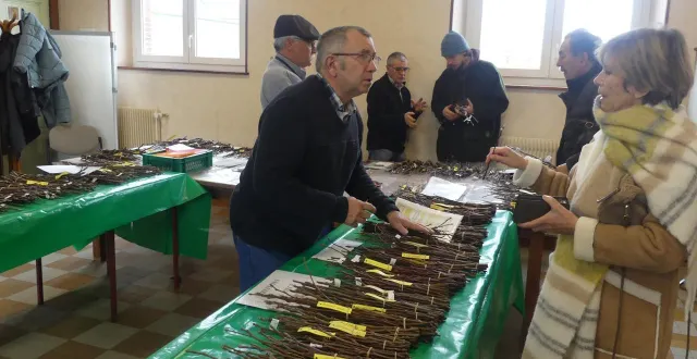 photo  les croqueurs de pommes ont facilité la plantation de nombreux pommiers locaux.  &copy;  ouest-france 