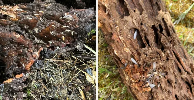 photo saded - spécialiste du traitement 3d et de la protection du bâtiment