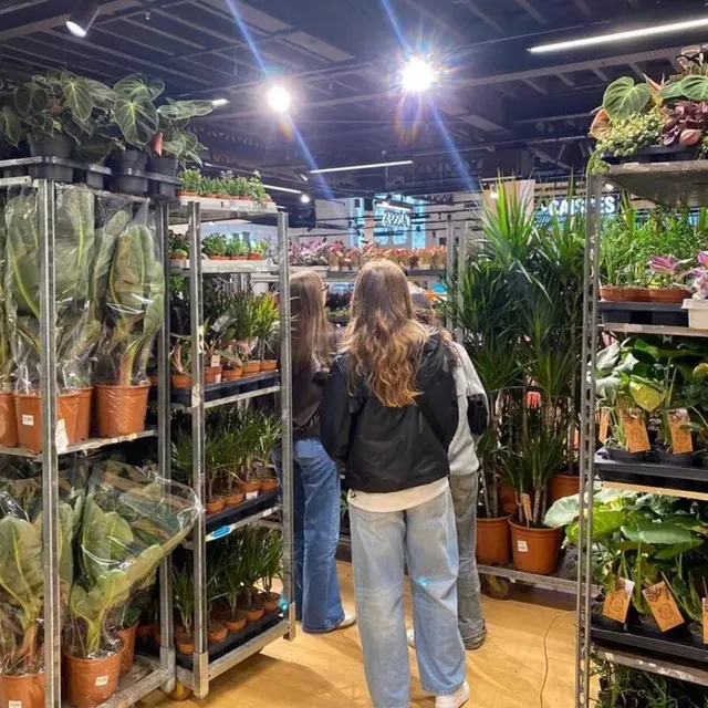 photo la vente de plantes aura lieu au centre commercial espace anjou.  ©  archives ouest-france