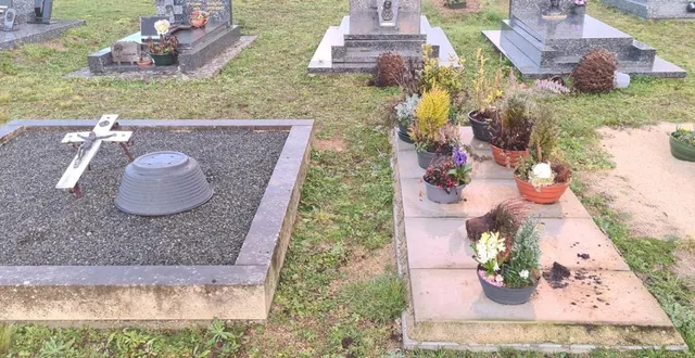 photo  sur cette photo, on peut voir le bac, vide, d’une des compositions florales, renversé sur la tombe voisine, et une plante couchée à même la pierre tombale, sans son pot en grès.  &copy;  co 