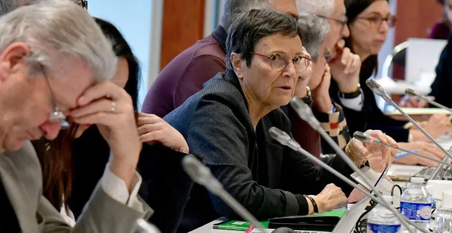 photo  « ce dossier illustre les limites d’une politique de protection de l’enfance gérée comme une ligne comptable », estime, dans les rangs de l’opposition, chantal brillaud.  &copy;  co - marie delage 