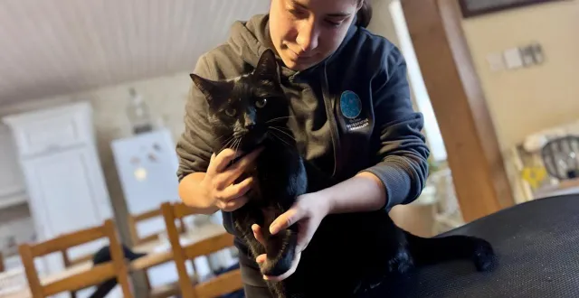 photo  orlane doms, originaire d’airvault, à 23 ans, est ostéopathe animalière depuis décembre 2025.  &copy;  co – léo candas 
