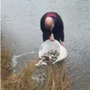 photo  le secrétaire daniel pilonni a assuré la mise à l’eau des alevins. 