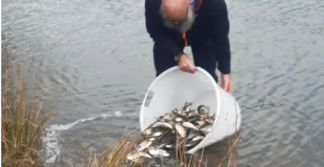 photo  le secrétaire daniel pilonni a assuré la mise à l’eau des alevins.  &copy;  ouest-france 