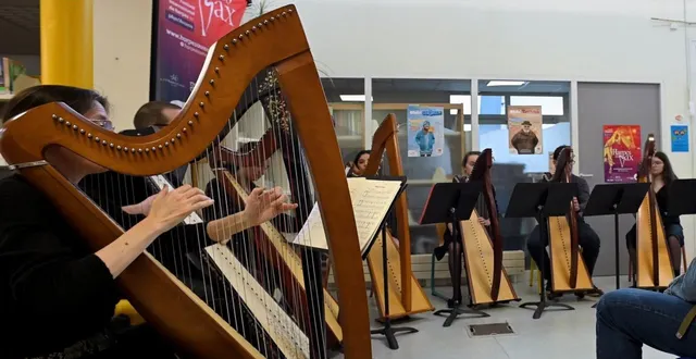 photo  concert de harpes de l’école de musique de l’anjou bleu.  &copy;  co 