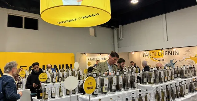 photo  de nombreux viticulteurs ont déposé leurs productions dans le stand fan de chenin.  &copy;  ouest-france 