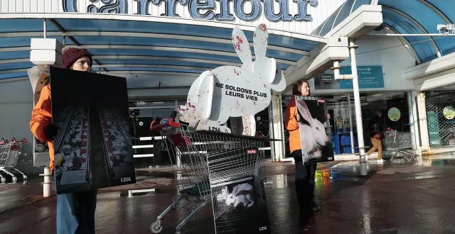 photo  l’équipe de l214 devant le magasin carrefour de niort le 24 janvier.  &copy;  archives co 