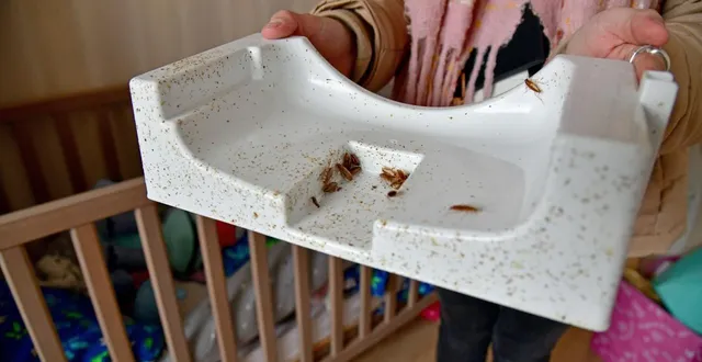 photo  « cela fait des années que l’on subit la présence de cafards dans nos logements. on en peut plus. il y en a partout et tout le temps », souffle l’une d’entre elles.  &copy;  co - marie delage 
