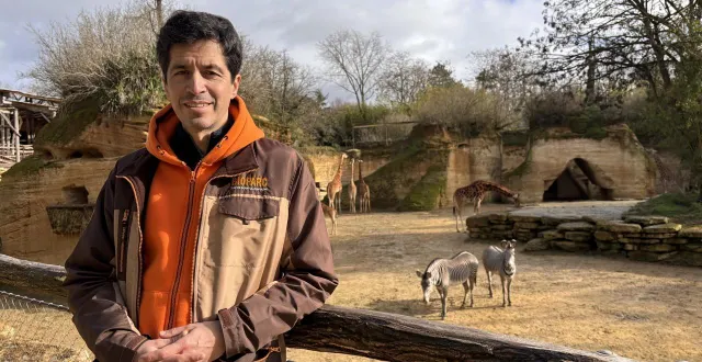 photo  françois gay, directeur du bioparc de doué-en-anjou, a eu l’agréable surprise de voir son parc animalier recevoir une toute nouvelle distinction, juste avant sa réouverture, le samedi 7 février.  &copy;  ouest-france 