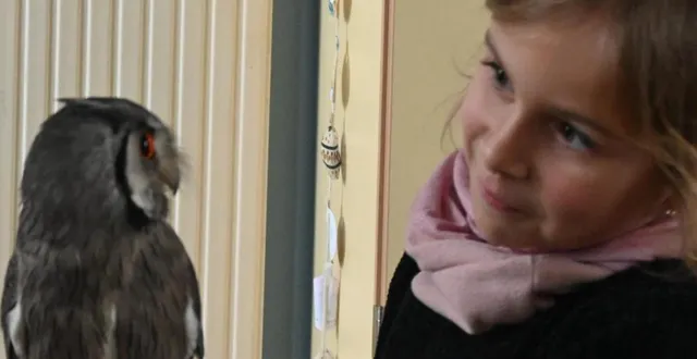 photo  chaque enfant a eu la possibilité de tenir un hibou sur son bras recouvert d’un gant de cuir.  &copy;  co 