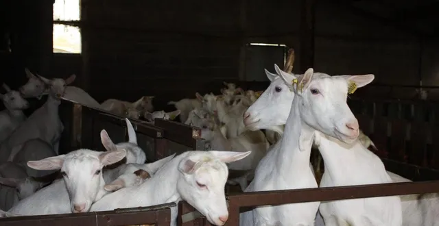 photo  le salon à la ferme est un événement de la confédération paysanne.  &copy;  illustration co 